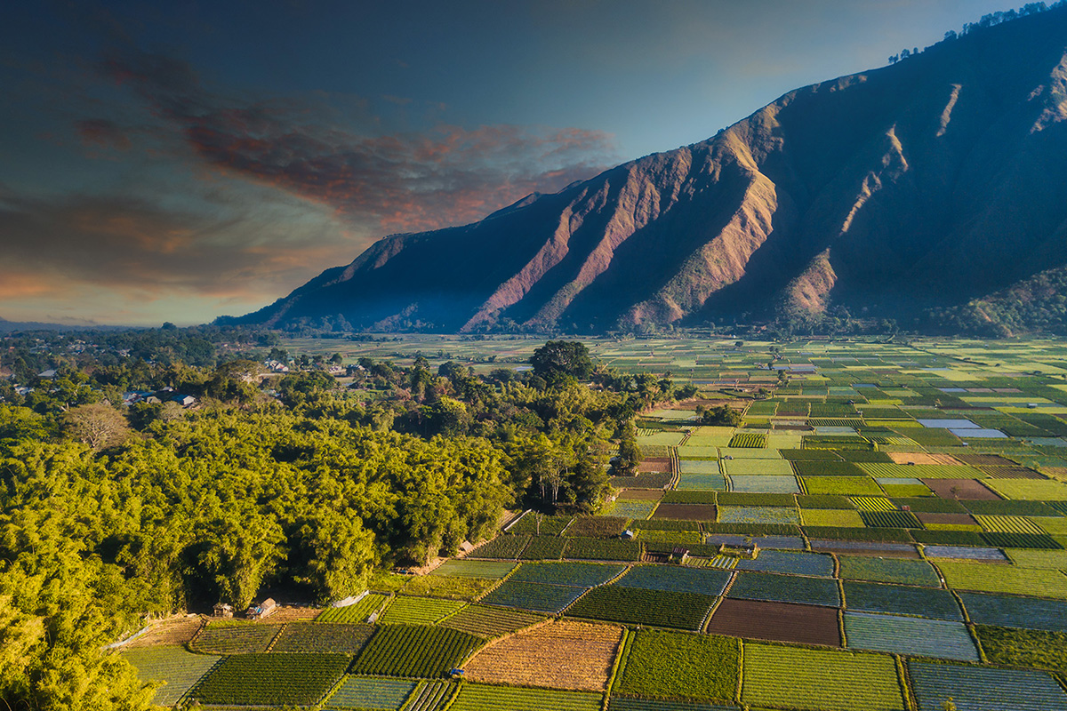 Bukit Selong, east Lombok